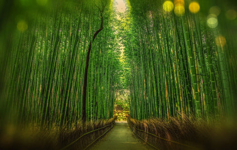 How to Make Your Period Sustainable, Earth Day