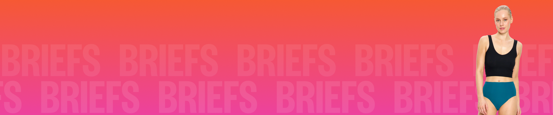 Briefs
