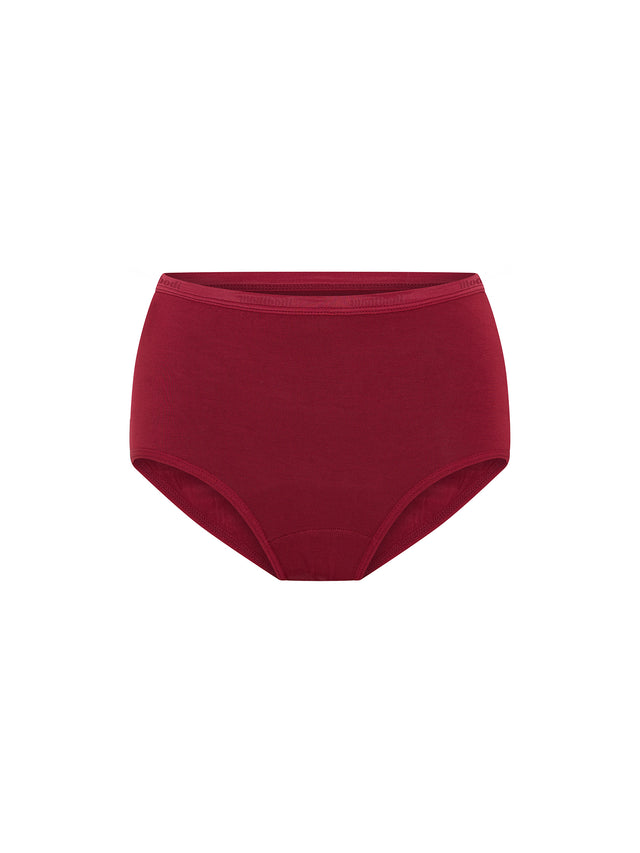 Classic Full Brief Everyday Pack Rich Truffle Multi